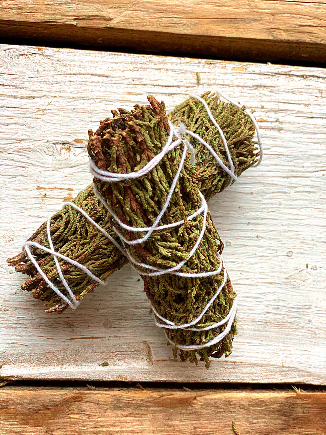 Juniper 