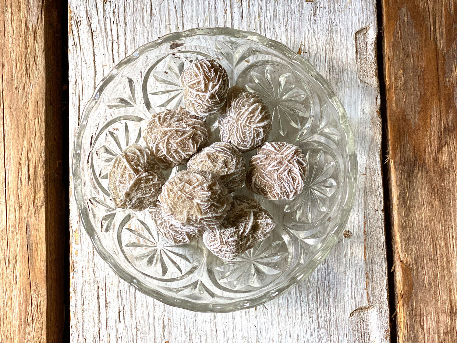 Desert Rose Selenite