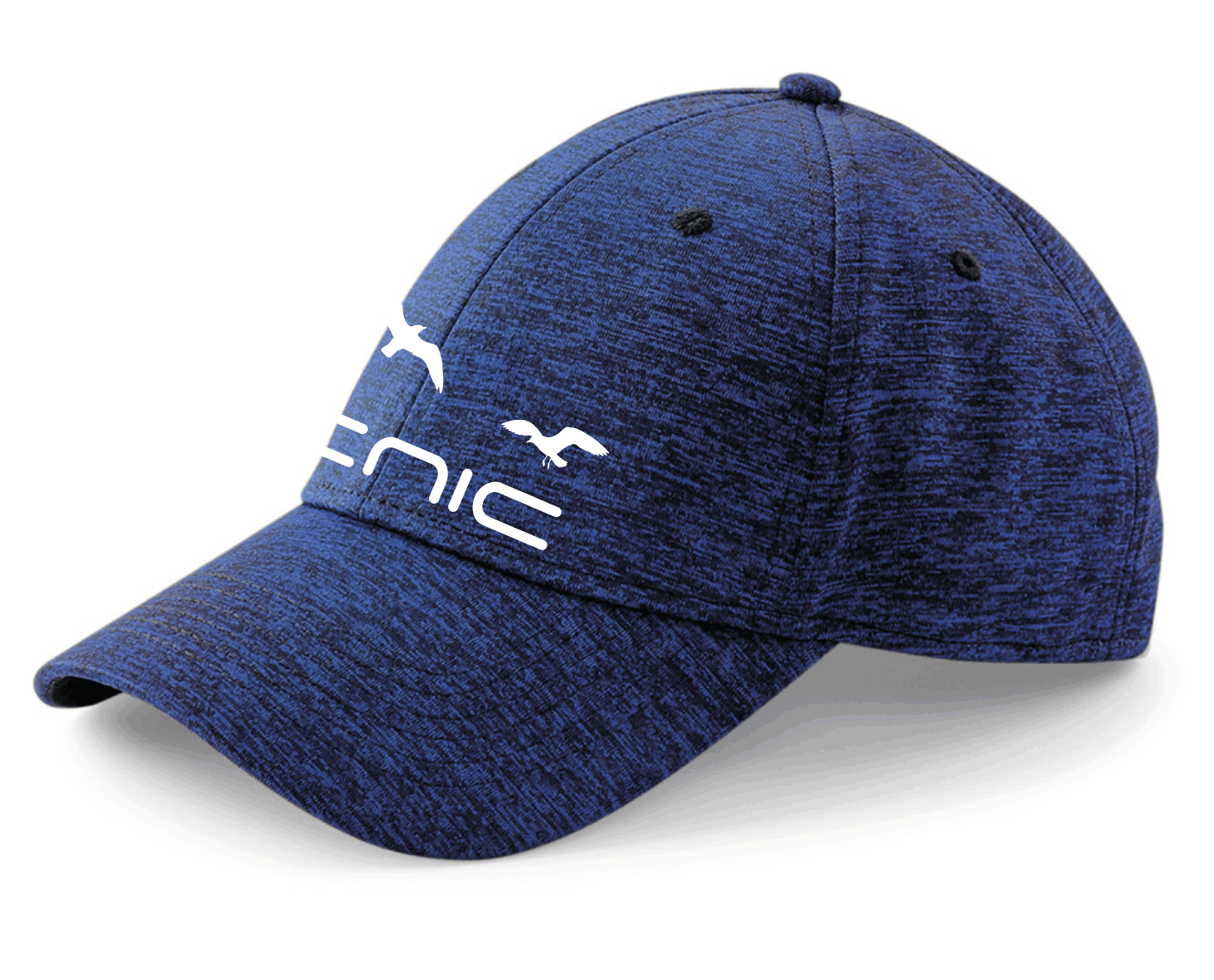 PICNIC Cap (One Size)