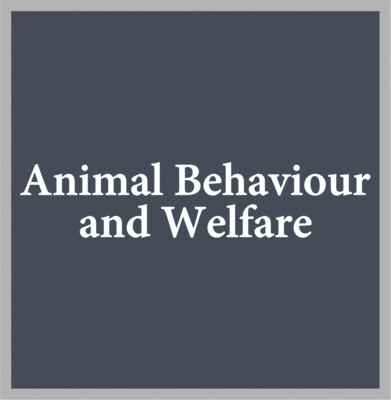 Animal Behavior &amp; Welfare