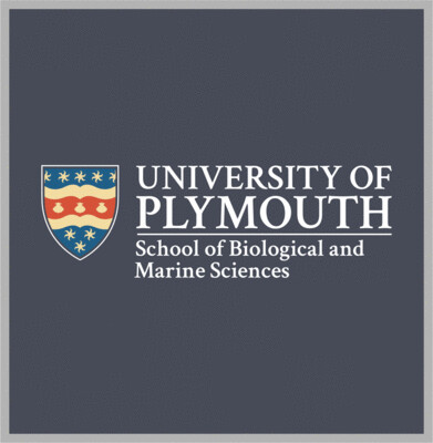 School of Biological &amp; Marine Science
