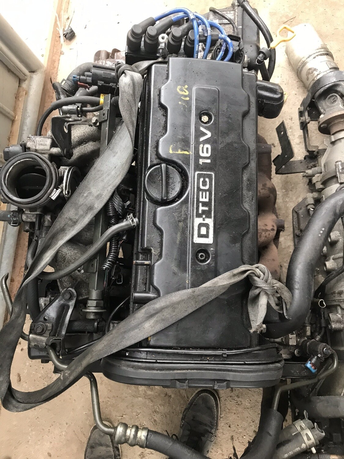 Motor Forenza, Reno, Optra 2004-2005 2.0