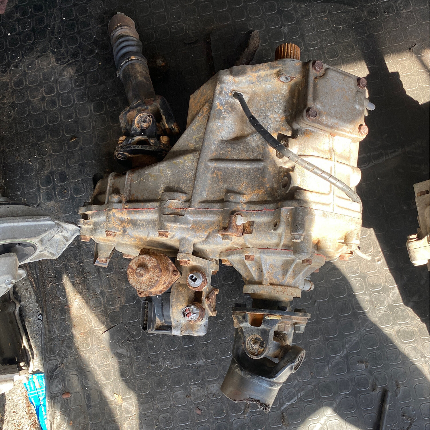 Roster Toyota Tacoma 2005-2011 MT