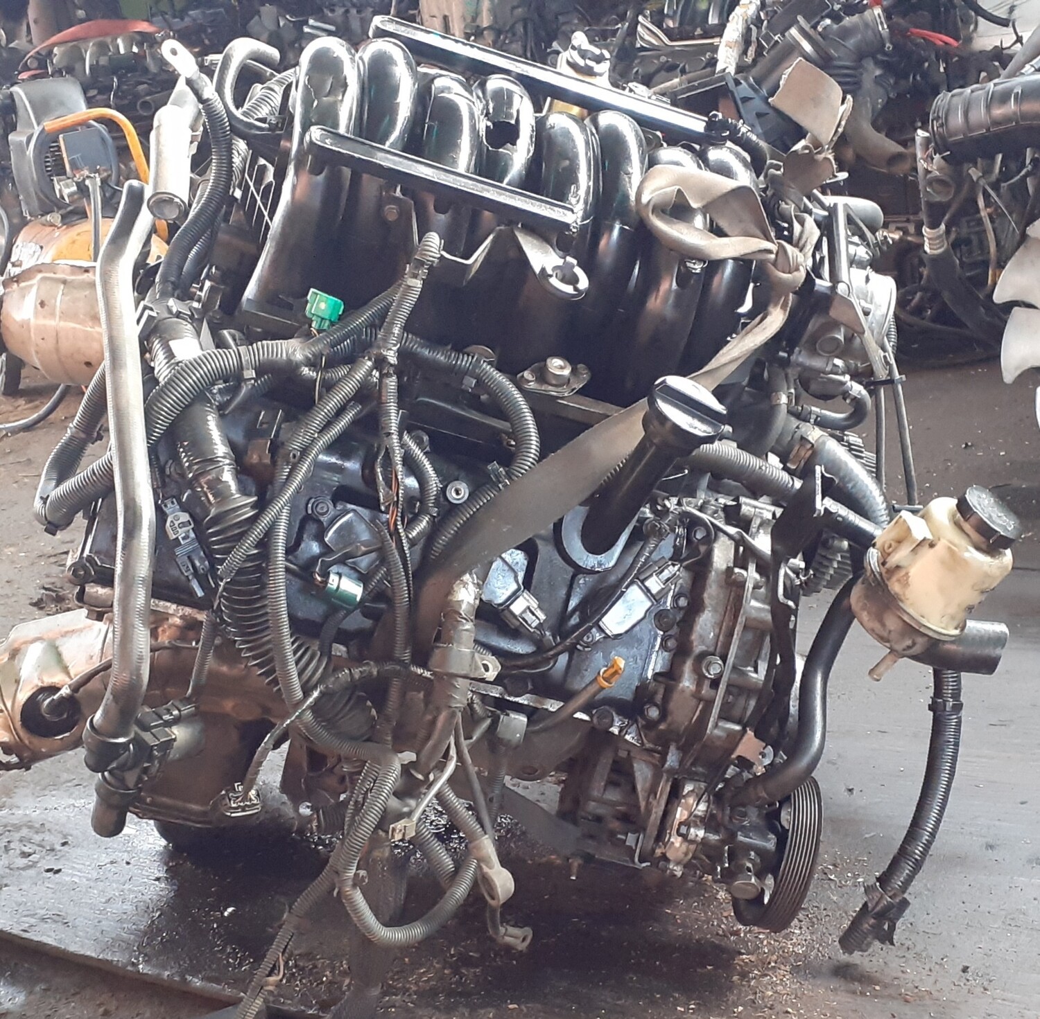 Motor VK56 5.6 CC Titan - Armada 2004 - 2007