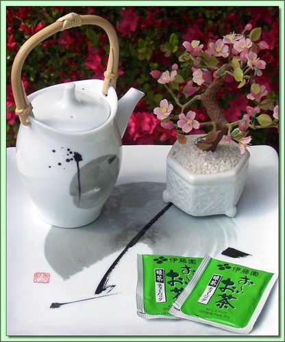 Ohiocha Sencha (Japan) - 20 Tea Bags