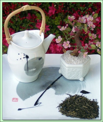Organic Sencha Akaike (Japan) - 20 Tea Bags