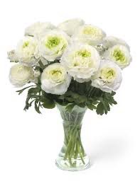 Japanese Ranunculus: “Montveners” (5 Corms)
