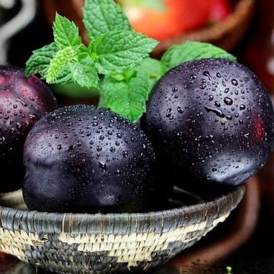 Bare Root Plum Tree “Black Ice” 1” Caliper 14-15 Ft Tall!