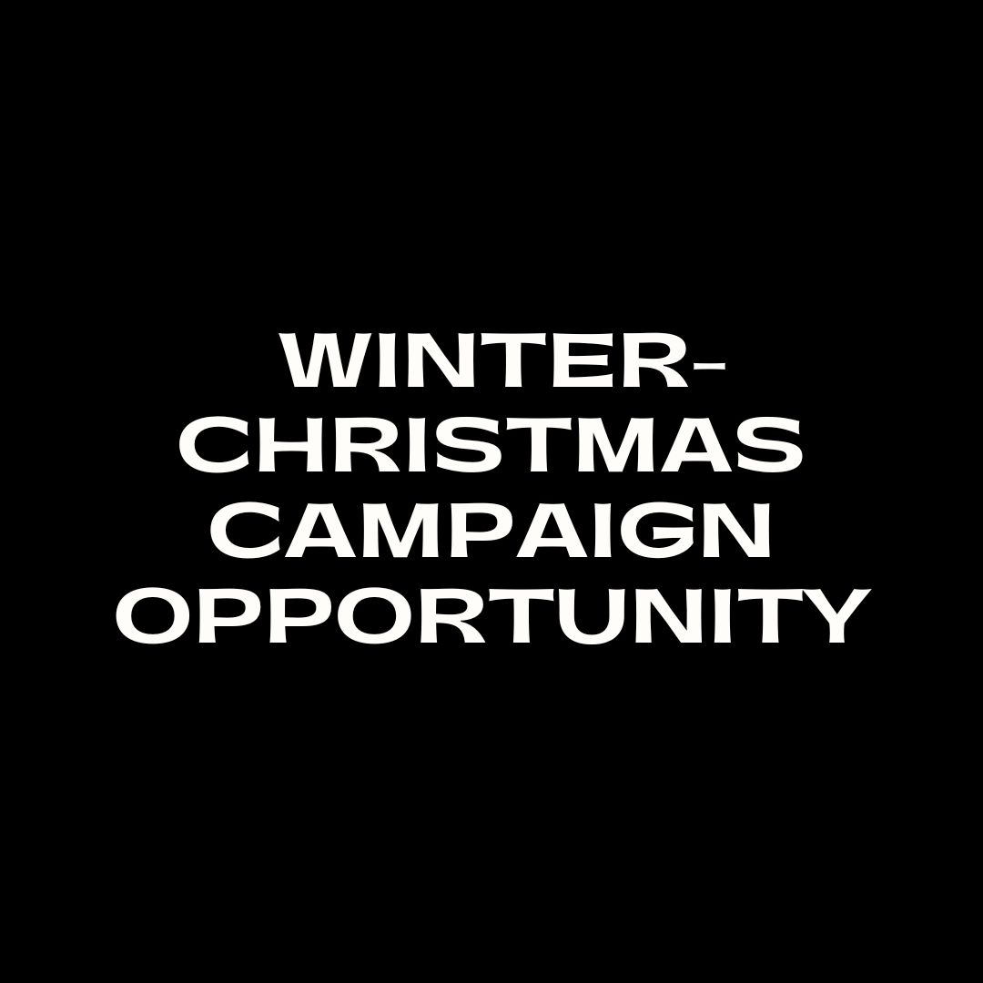 The Walker Collection Winter/Christmas Campaign Opportunity Gown Full Payment
