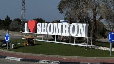 מועצות ועיריות