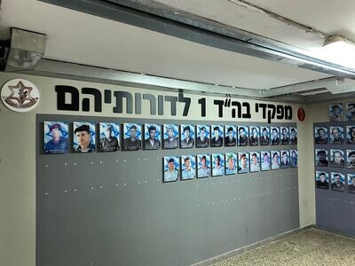צהל