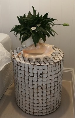 Coconut Side Table