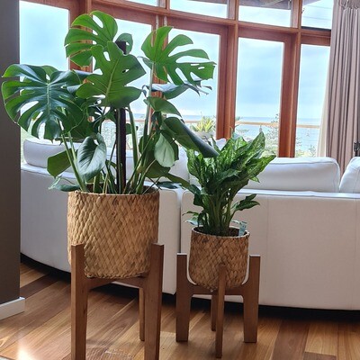 Banana Bark Planter on Stand