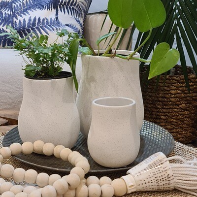 Audrey Vase/s
