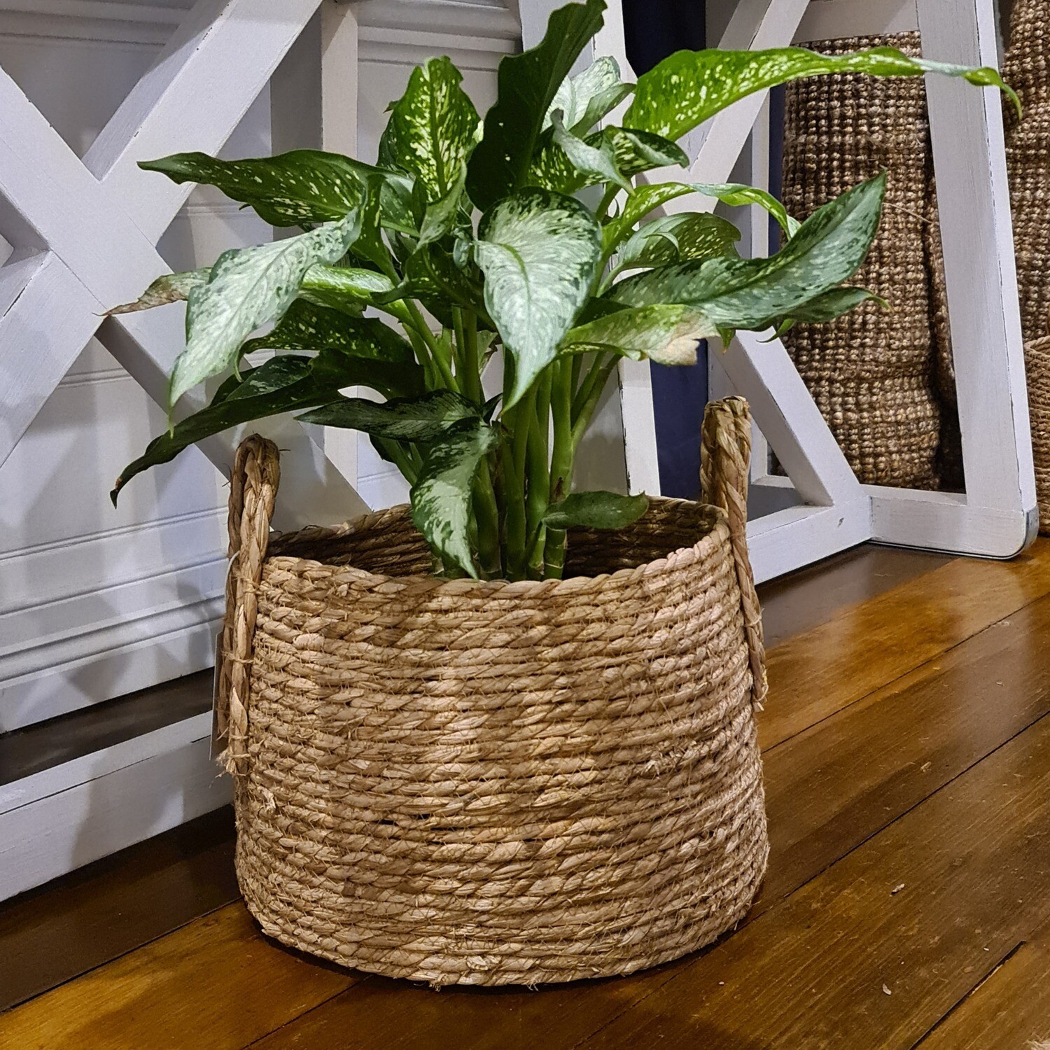 Twist Water Hyacinth Basket with handles