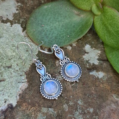 Charlotte Moonstone Earrings