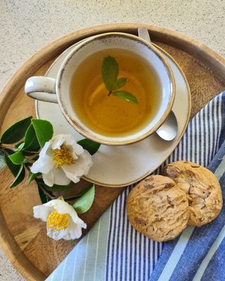 Theo Ceramic Cup and Saucer