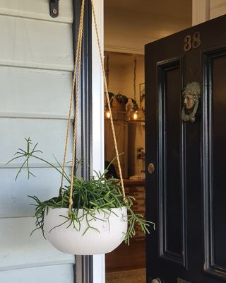 Willa Hanging Pot