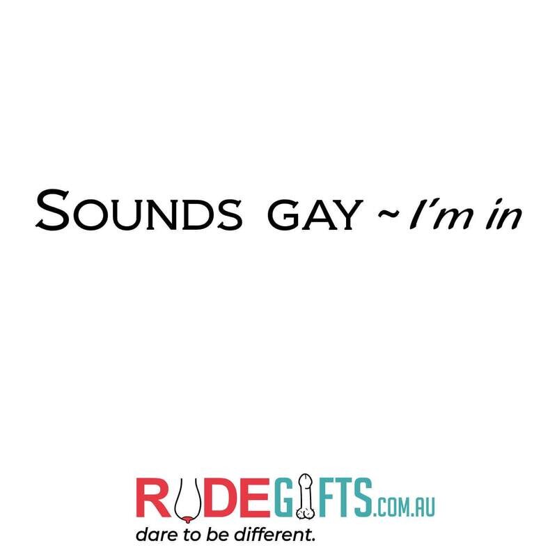 Rude Gifts Pens | SOUNDS GAY - I'm In
