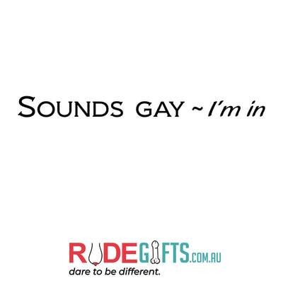 Rude Gifts Pens | SOUNDS GAY - I'm In