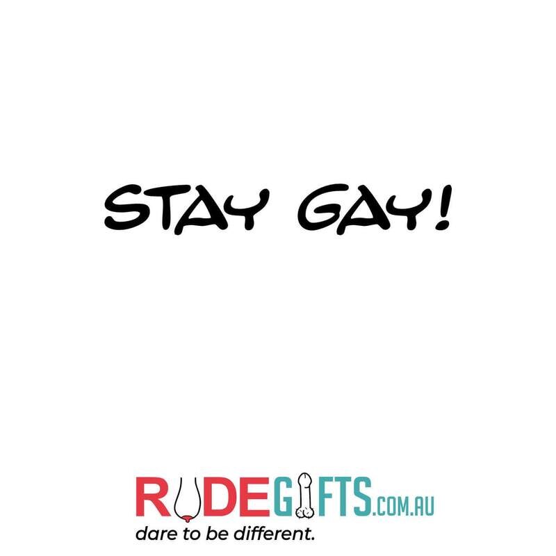 Rude Gifts Pens | STAY GAY!