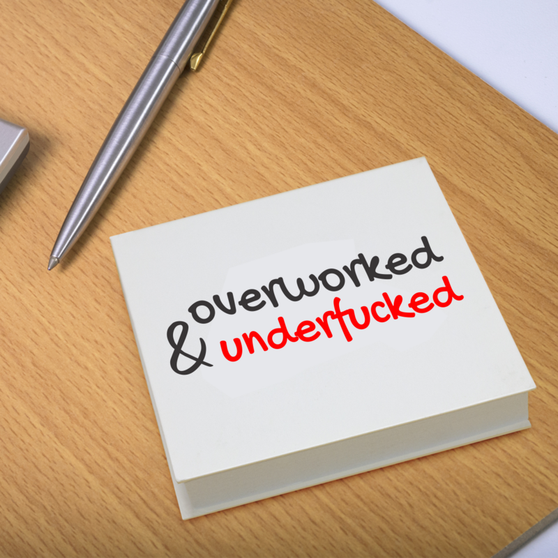 100 Page Sticky Notepad with Hard Cover &gt; Overworked &amp; Underf*cked