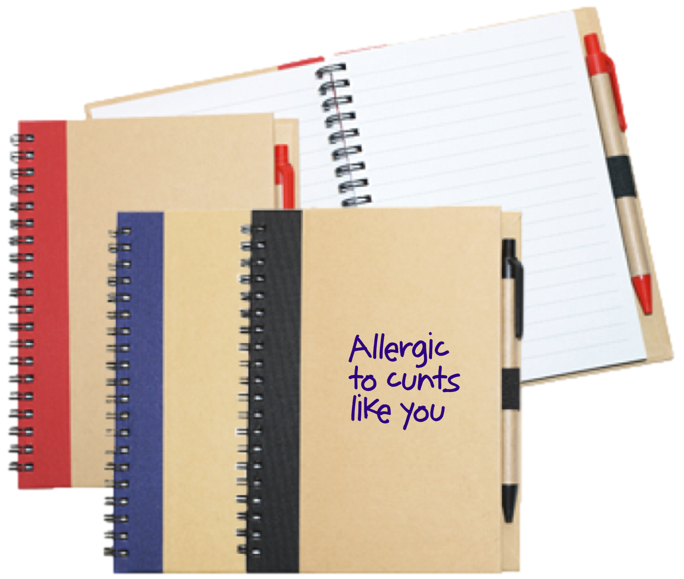 Wiro Bound Recycled A5 Notebook &amp; Pen &gt; Allergic To C*nts Like You