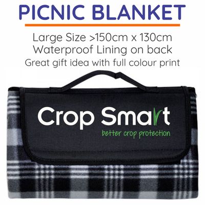 3 PICNIC BLANKETS for $40 + gst