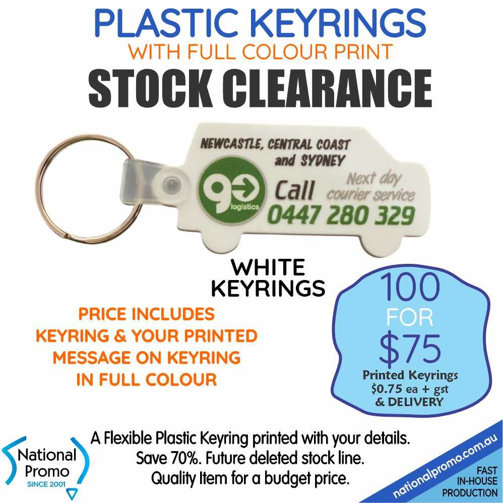100 x PLASTIC VAN SHAPED KEYRINGS &lt;CLEARANCE&gt;