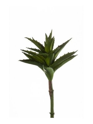 Aloe plant 24cm green (Buy 6 and get 10% off)