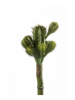 Cactus 18cm green (Buy 12 and get 10% off)
