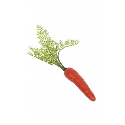 Carrot with shoots 30cm (Buy 6 & get 10%)
