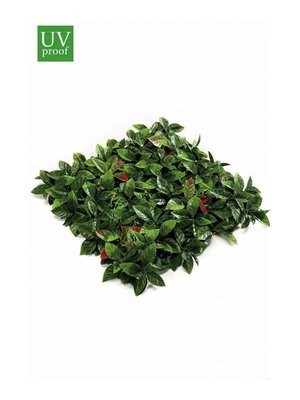Photinia Mat 50cm x 50cm Panel (Buy 6 squares and get 10% off)