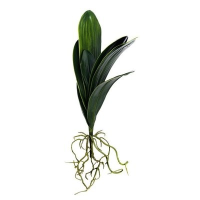 Orchid Leaves & Root 48cm (Buy 6 and get 10% off)