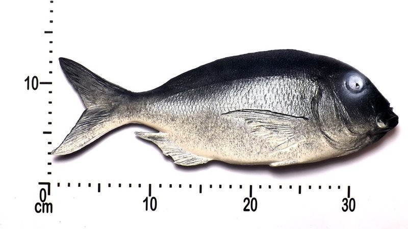 Artificial Bream