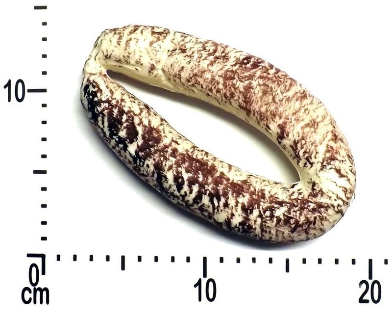 Artificial Hanging Sausage Loop