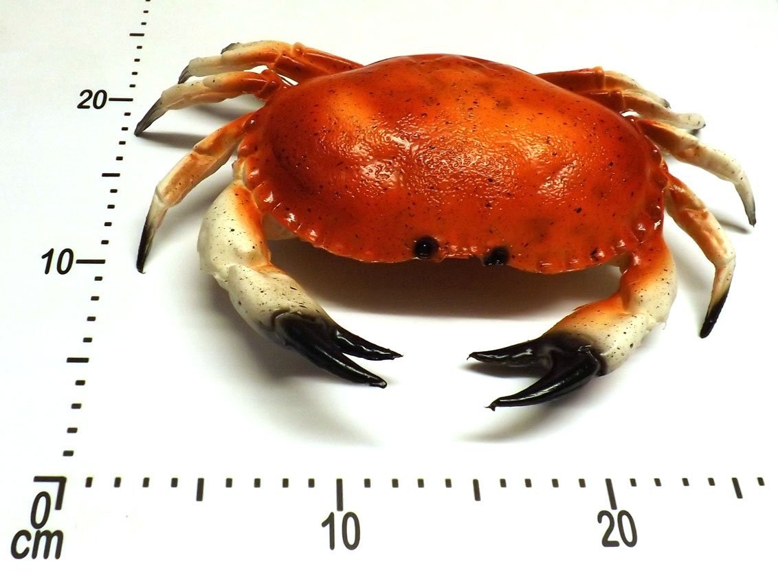 Artificial Large Crab