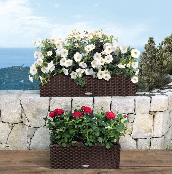 Balconera Cottage 80