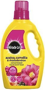 Miracle Gro Azalea (Ericaceous) Plant Food Liquid 1L