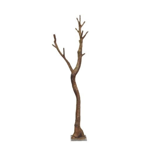 280CM CLOUD TRUNK	X 2