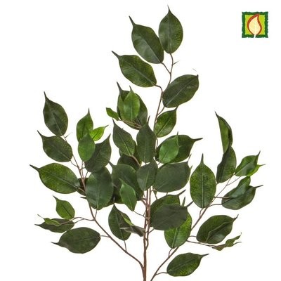 Artificial Ficus Exotica 100cm FR (7 Days Lead-time) Buy 6 & Get 10% Off
