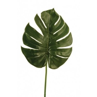 Split Philo Leaf 63cm Green