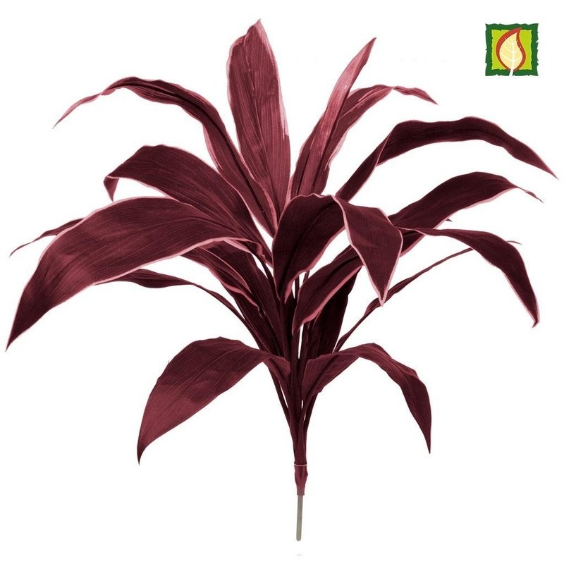 Artificial Cordyline in Burgundy FR (Buy 6 & get 10% off)