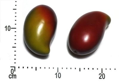 Mango in Red or Green