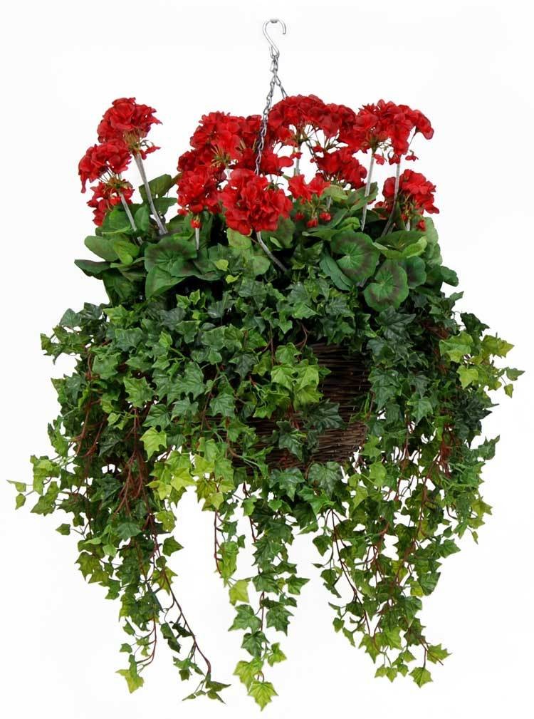 Deluxe Geranium Basket