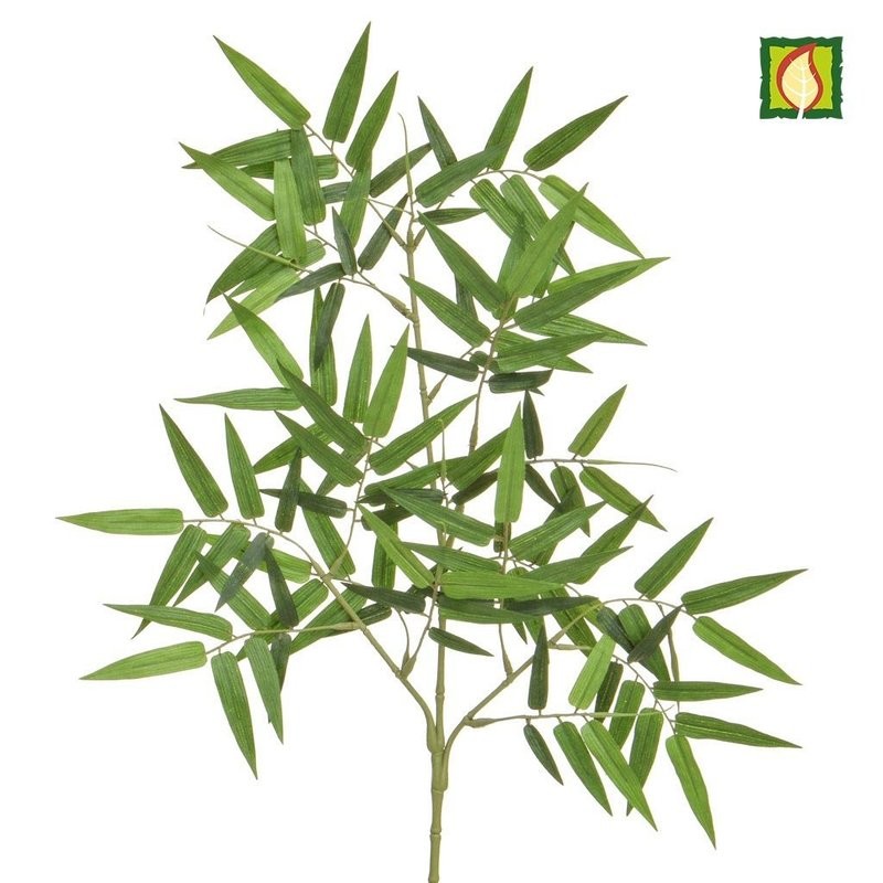 Box of 6 Oriental Bamboo Spray FR