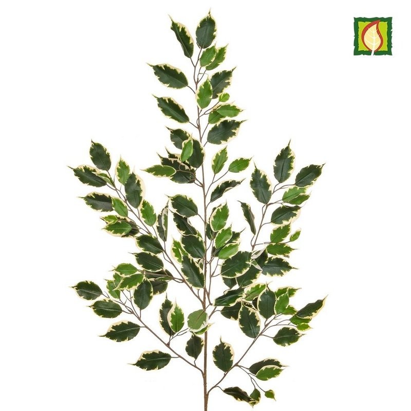 Box of 6 Artificial Ficus variegated