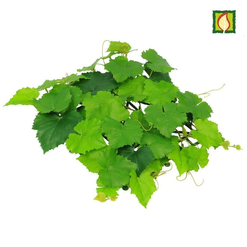 Topiary Mat Grape Vine Fire Retardant