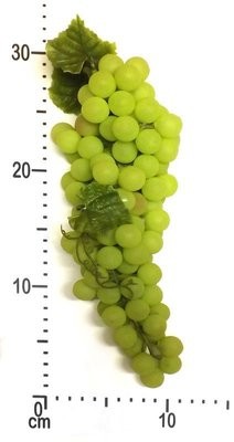 Large Bunches of Artificial Green Grapes