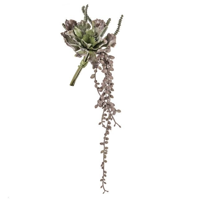 Succulent Trailing Bundle Purple 23cm (Buy 12 and get 10% off)